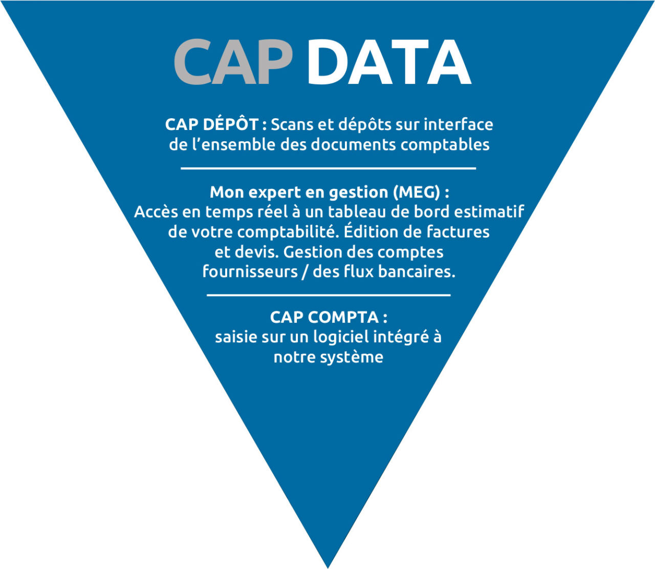 cap-data-cap-expert-conseils